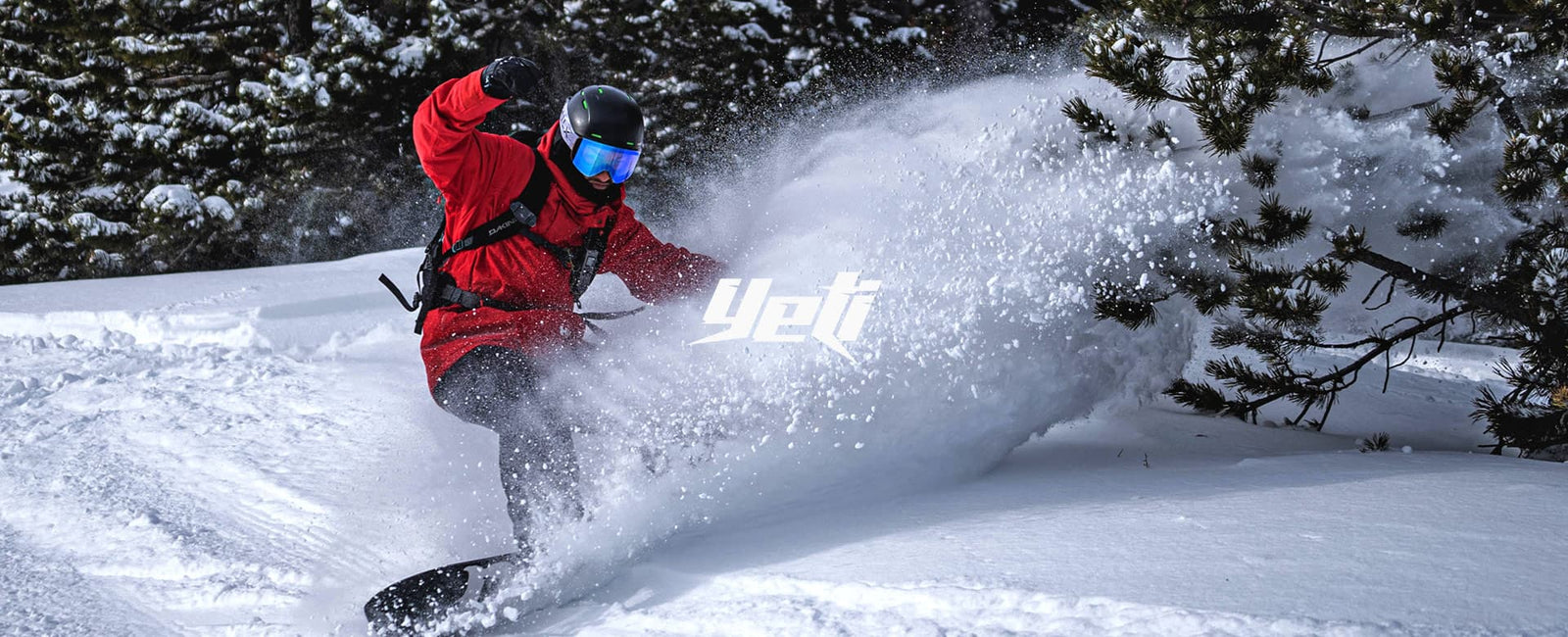 SKI / SNOWBOARD